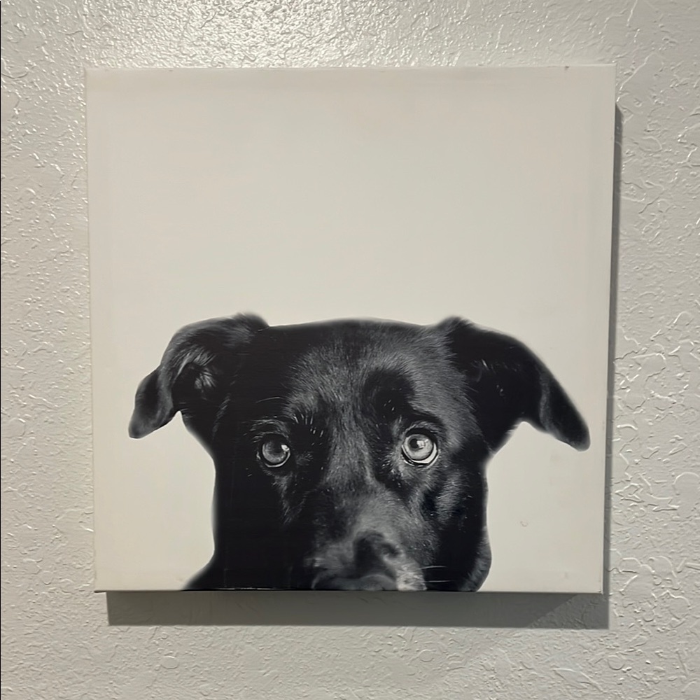 Black Lab Canvas Wall Art